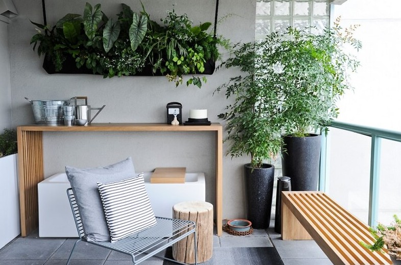 Проветривание помещений с комнатными растениями - «Советы Хозяйке»