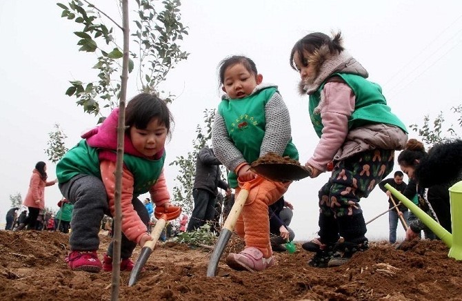 12 марта – День посадки деревьев в Китае - «Советы Хозяйке»