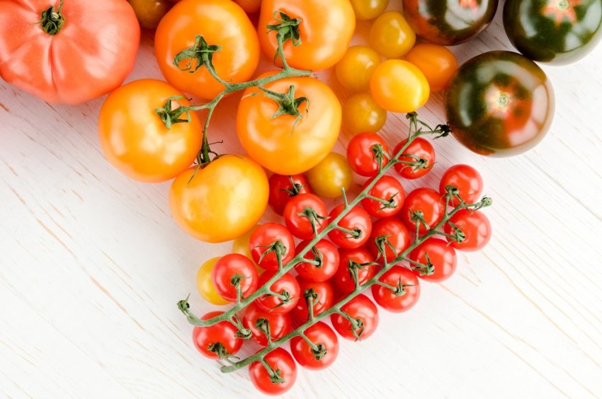 Как увеличить урожай помидоров в 3 раза - «Советы Хозяйке»