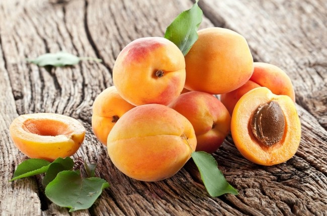 Выращиваем абрикос из косточки - «Советы Хозяйке»