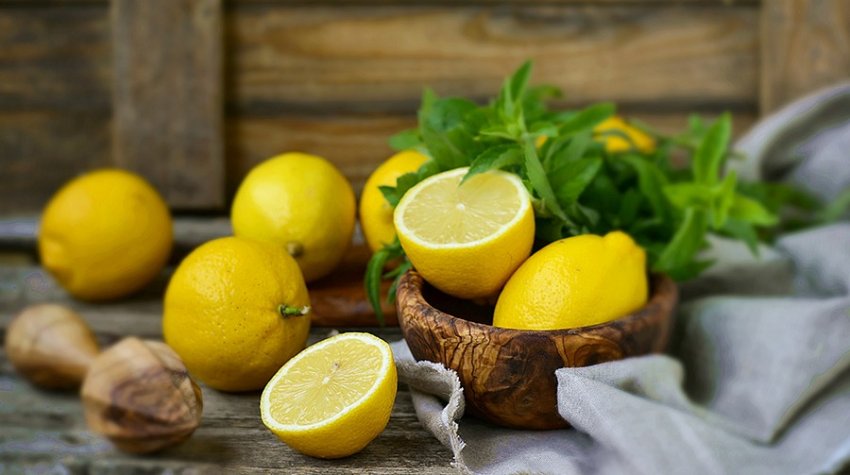 Как выращивать лимон в домашних условиях - «Советы Хозяйке»