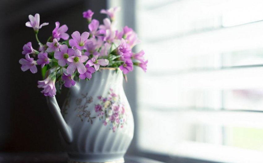 Советы и факты о свежести цветов - «Советы Хозяйке»