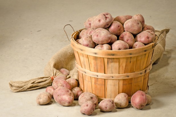 Полезные советы по хранению картофеля на балконе или в погребе - «Советы Хозяйке»