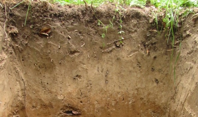 Особенности разных видов почв - «Советы Хозяйке»