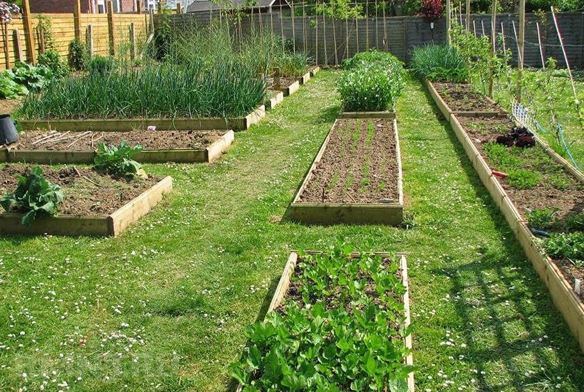 Разумное планирование огорода - «Советы Хозяйке»