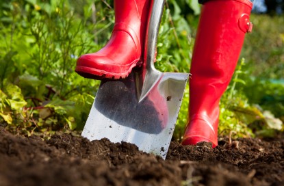 Садовые работы в мае: что не забыть сделать - «Советы Хозяйке»