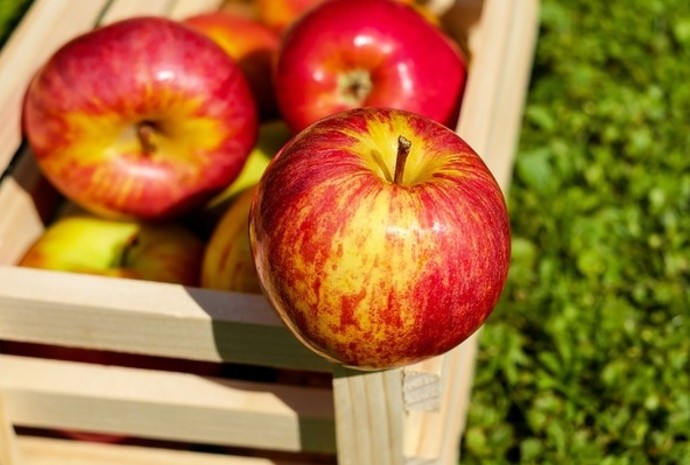 Яблочный спас: традиции и приметы - «Советы Хозяйке»