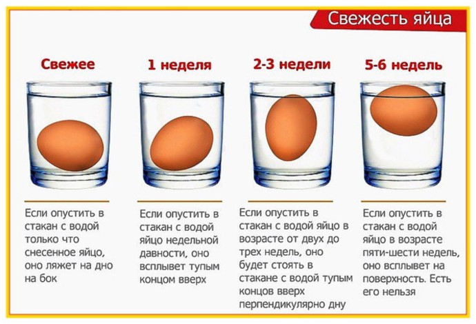 Кулинарная шпаргалка: как проверить яйца на свежесть - «Советы Хозяйке»