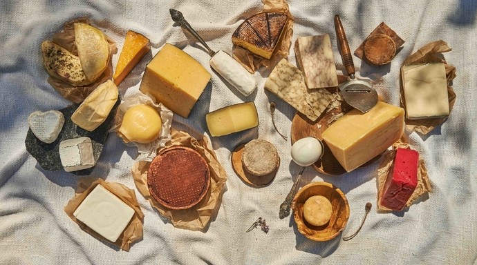 Проєкт «Всі. Свої» проведе Найбільший сирний маркет 12–13 вересня - «Советы Хозяйке»