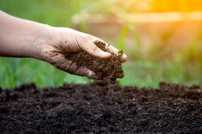 Правила подкормки почвы после уборки урожая - «Советы Хозяйке»