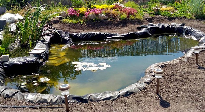 Искусственный водоем на даче. Как сделать: из пленки или пластика? на сайте Недвио - «Сад и огород»