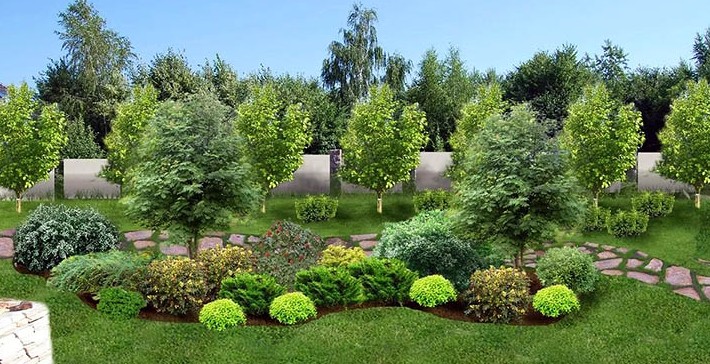 Оформление газона декоративными и фруктовыми деревьями на сайте Недвио - «Сад и огород»