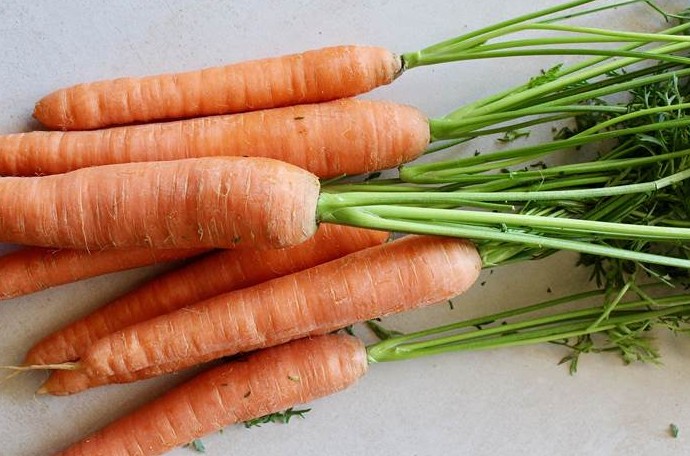 Подкормка моркови в августе 2022 года - «Сад и огород»