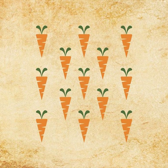 Чем подкормить морковь в июле 2023 года - «Сад и огород»